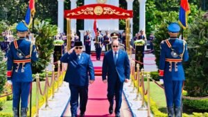 prabowo-bertemu-bilateral-dengan-presiden-mesir-el-sisi-di-istana-al-ittihadiya-1744465943706_169 (1)